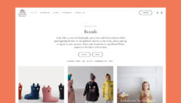 Junior-Fashion-Boutique-website-designs-door-hellopixels-brands